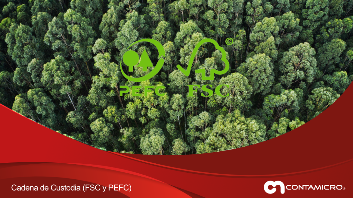 cadenadecustodia2024