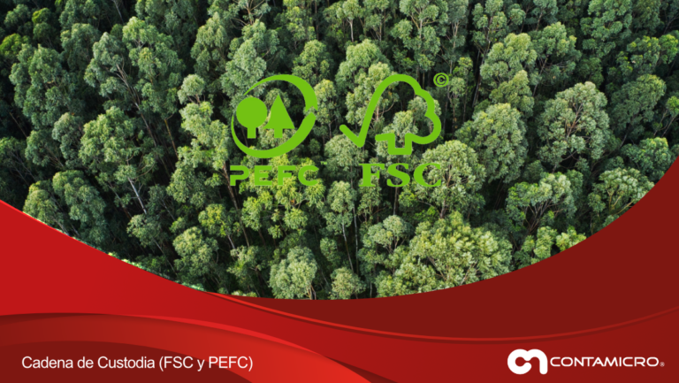 cadenadecustodia2024